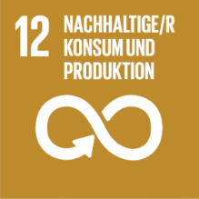 Icon Nachhaltige/r Konsum und Produktion